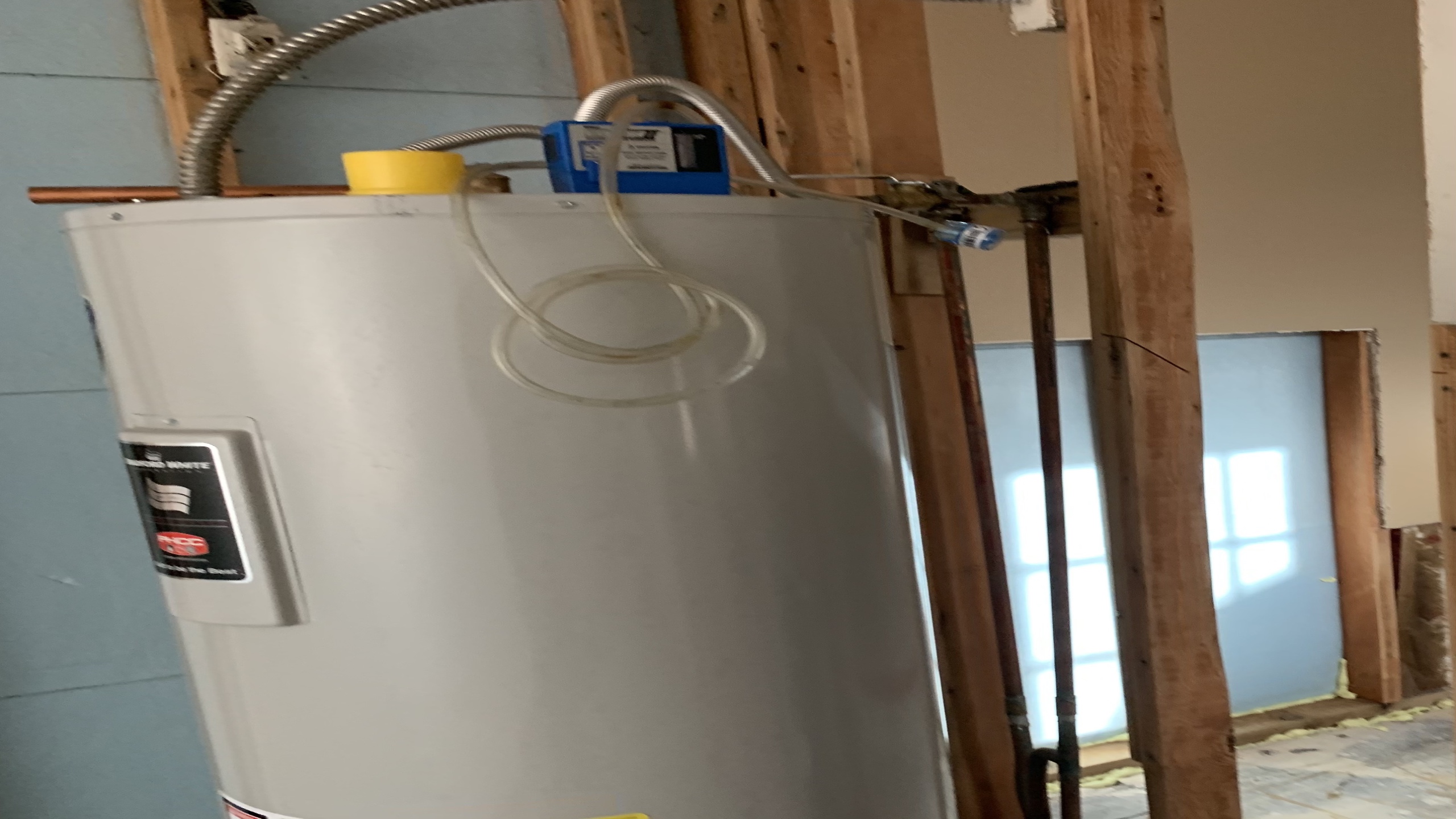Mold Test
