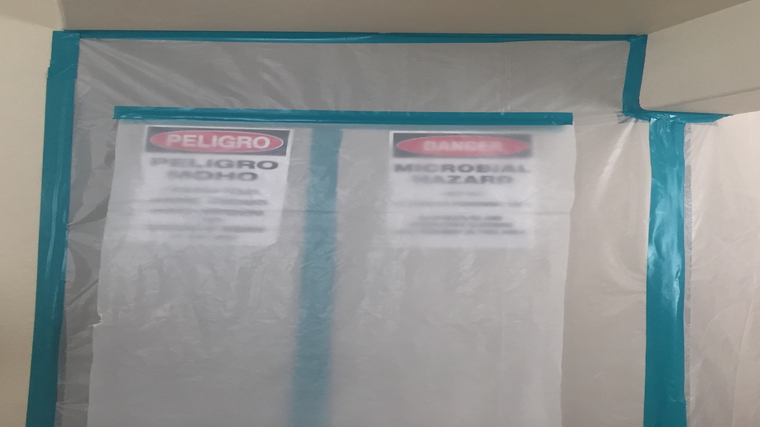 Mold Test