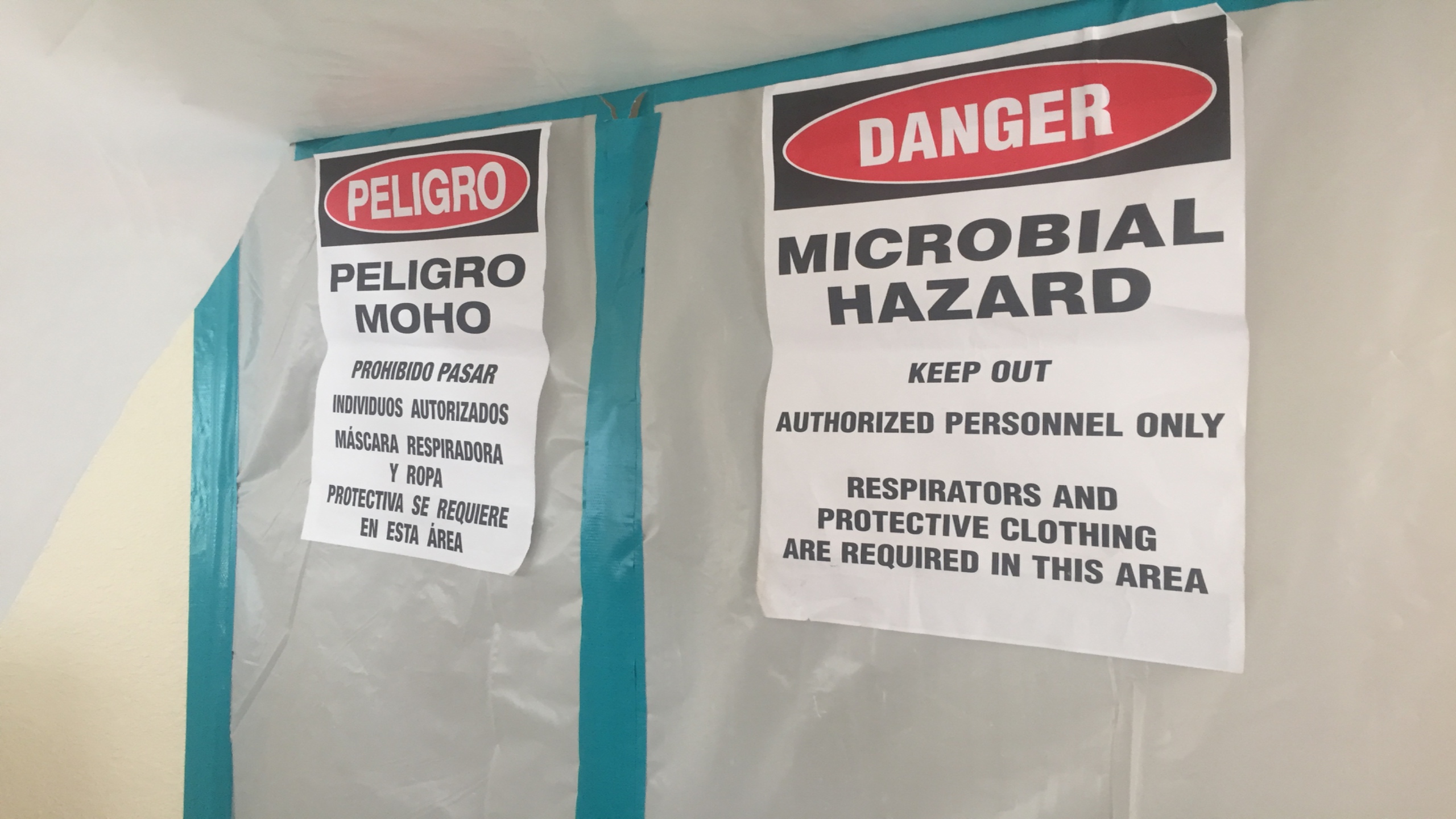 Testing For Mold